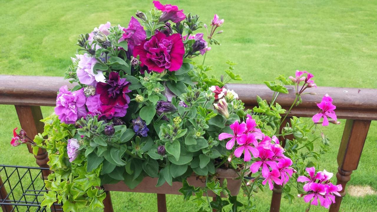 Riverwalk House B&B Oughterard Exterior foto